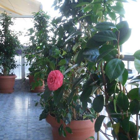 Athens Penthouse Cosy Apartment Exterior photo