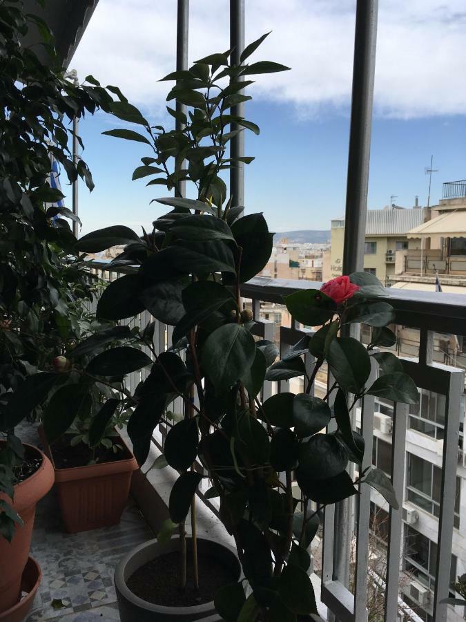 Athens Penthouse Cosy Apartment Exterior photo
